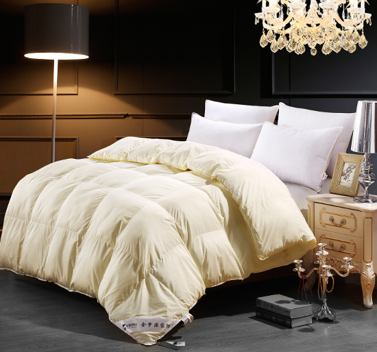 Down Duvet