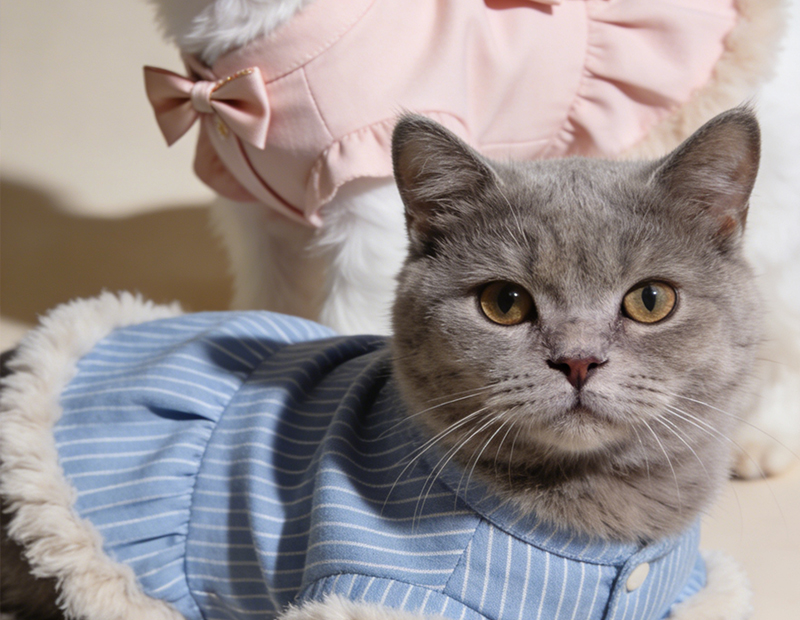 Bespoke Pet Products